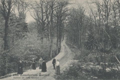 Hauptmann_Heinrich (1021)