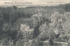 Hauptmann_Heinrich (1022)
