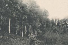 Hauptmann_Heinrich (1027)