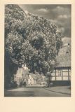 Hauptmann_Heinrich (448)