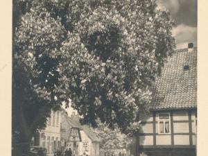 Hauptmann_Heinrich (448)