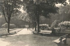 Hauptmann_Heinrich (705)