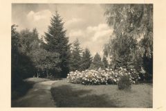 Hauptmann_Heinrich (706)