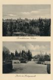 Hauptmann_Heinrich (707)