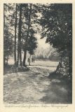 Hauptmann_Heinrich (708)