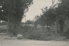 Hauptmann_Heinrich (190)