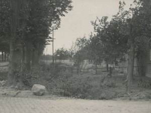 Hauptmann_Heinrich (190)