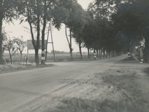 Hauptmann_Heinrich (191)