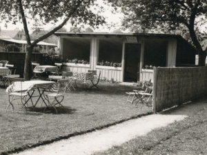 Hauptmann_Heinrich (555)