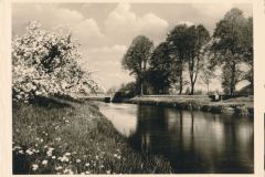 Hauptmann_Heinrich (679)