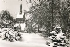 Hauptmann_Heinrich (487)