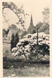 Hauptmann_Heinrich (492)