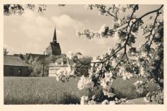 Hauptmann_Heinrich (493)