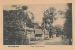 Hauptmann_Heinrich (653)