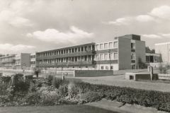 Hauptmann_Heinrich (702)