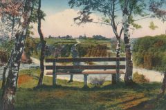 Hauptmann_Heinrich (376)