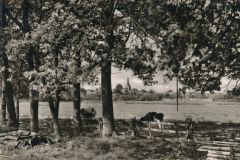 Hauptmann_Heinrich (378)