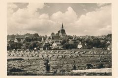 Hauptmann_Heinrich (385)