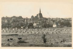 Hauptmann_Heinrich (524)