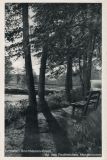 Hauptmann_Heinrich (680)