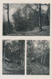Hauptmann_Heinrich (711)