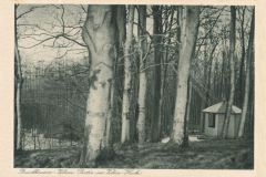 Hauptmann_Heinrich (715)