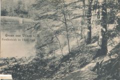 Hauptmann_Heinrich (716)