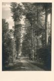 Hauptmann_Heinrich (731)