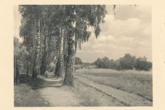 Hauptmann_Heinrich (736)