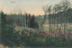 Hauptmann_Heinrich (1053)