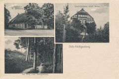 Hauptmann_Heinrich (971)