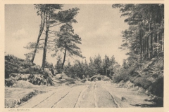 Hauptmann_Heinrich (177)