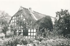 Hauptmann_Heinrich (891)