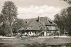 Hauptmann_Heinrich (893)