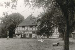Hauptmann_Heinrich (895)