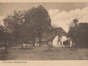 Hauptmann_Heinrich (876)