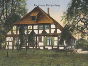 Hauptmann_Heinrich (889)