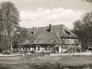 Hauptmann_Heinrich (893)