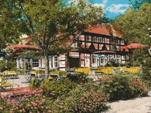 Hauptmann_Heinrich (894)