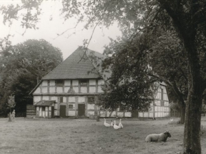 Hauptmann_Heinrich (895)