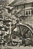 Hauptmann_Heinrich (819)