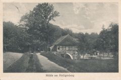 Hauptmann_Heinrich (838)