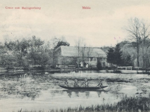 Hauptmann_Heinrich (816)