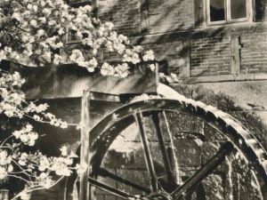 Hauptmann_Heinrich (819)