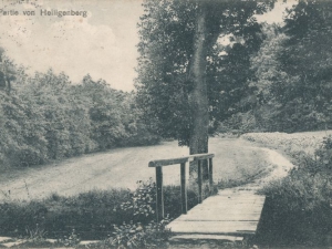 Hauptmann_Heinrich (827)