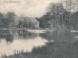 westermann_hartmut-21