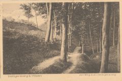 Hauptmann_Heinrich (762)