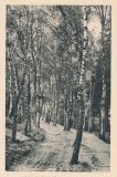 Hauptmann_Heinrich (763)