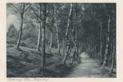 Hauptmann_Heinrich (764)