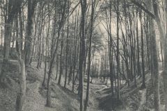 Hauptmann_Heinrich (945)